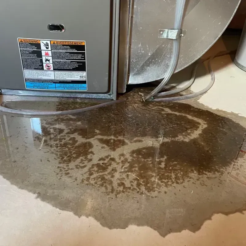 Appliance Leak Cleanup in White Pine, TN